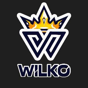 Player Wilko248 avatar