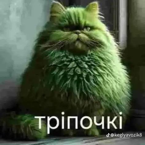 3ePP