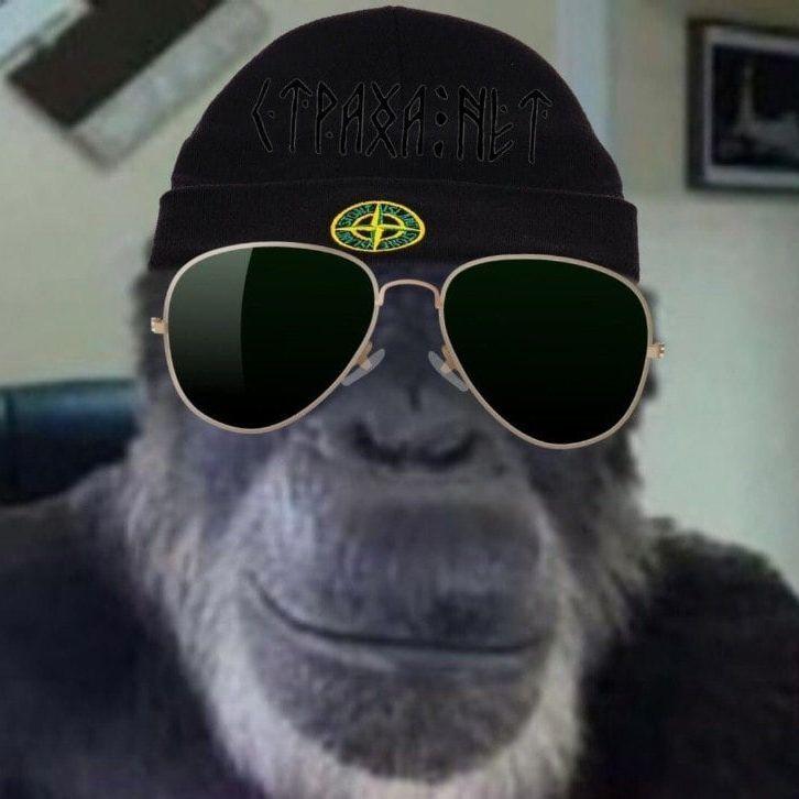 130KG_MUTANT avatar