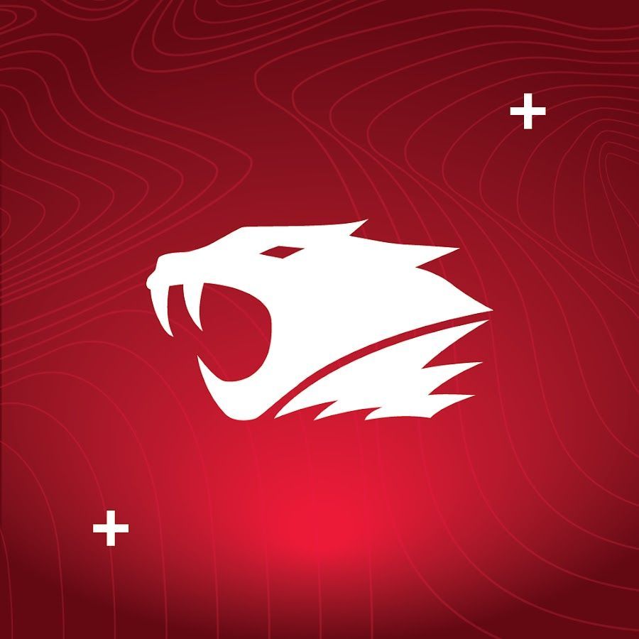 Faceit Avatar