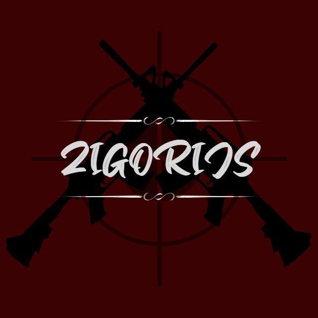 Player zigorijs avatar