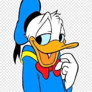 Donald_dick1 avatar