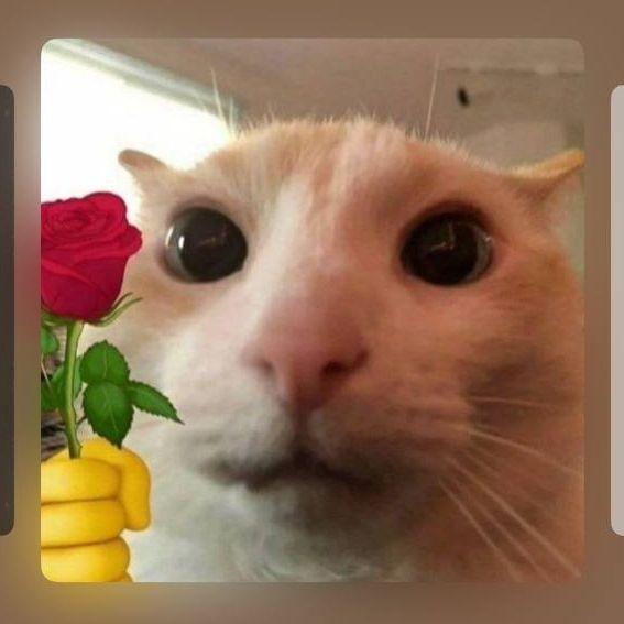 faizy666 avatar