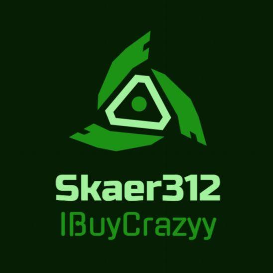 skaer312 avatar