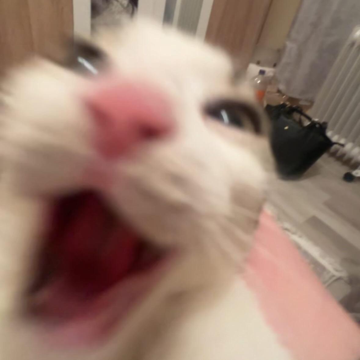 -AKII
