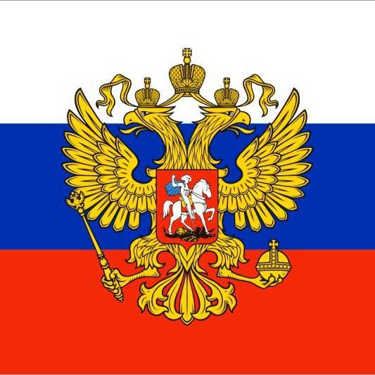 team_medoed_95