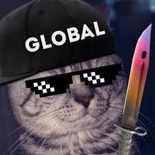 Faceit Avatar