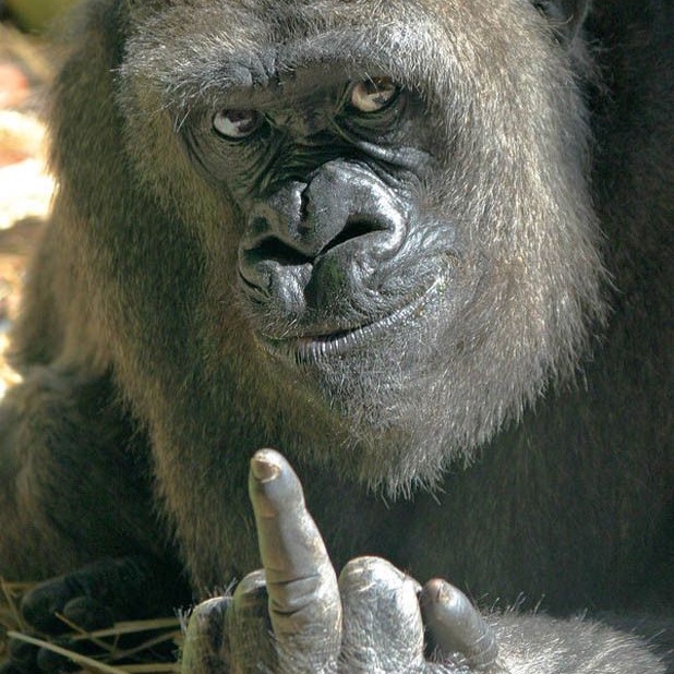 Le1zzy69