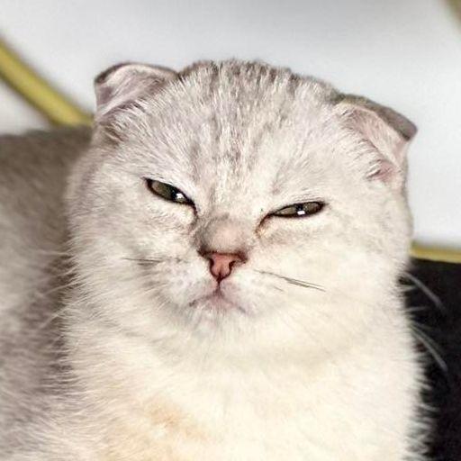 LordMinkz avatar
