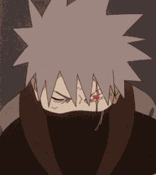 team_shinwa666