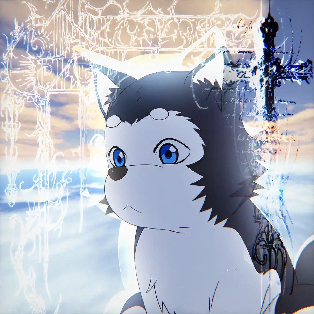 Syousuke avatar