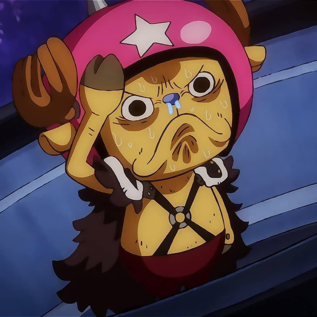 shanks767