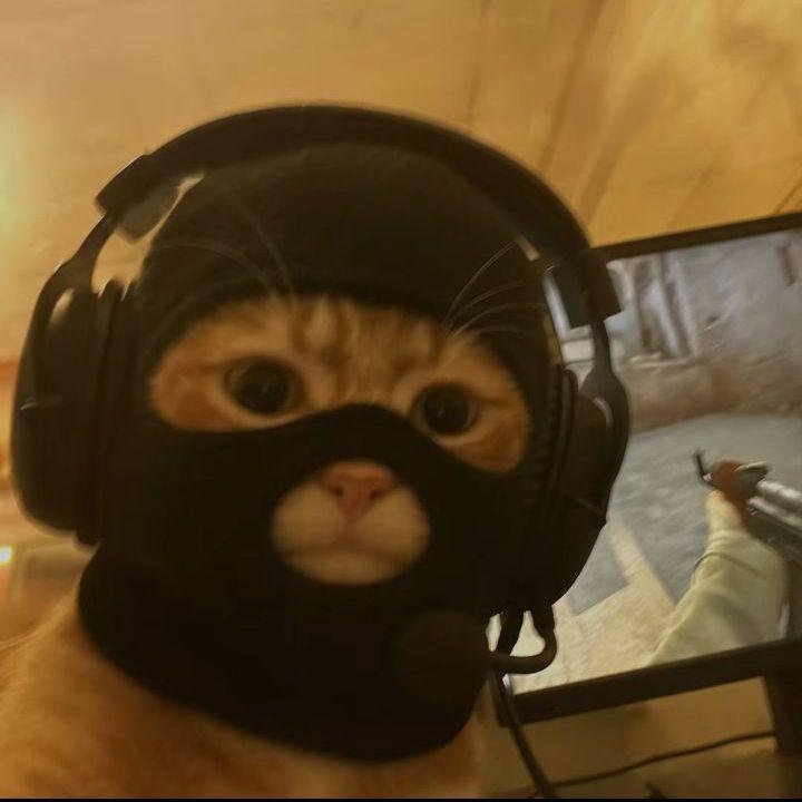 balb3s666 avatar