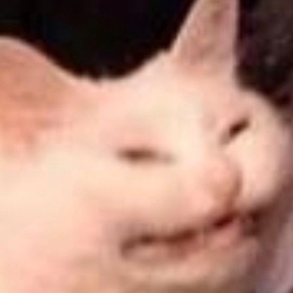 wootr