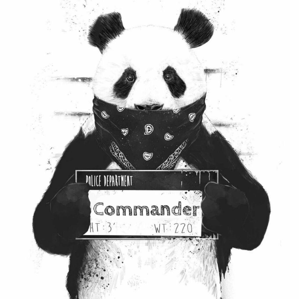 CoMMaNDeR_MD avatar