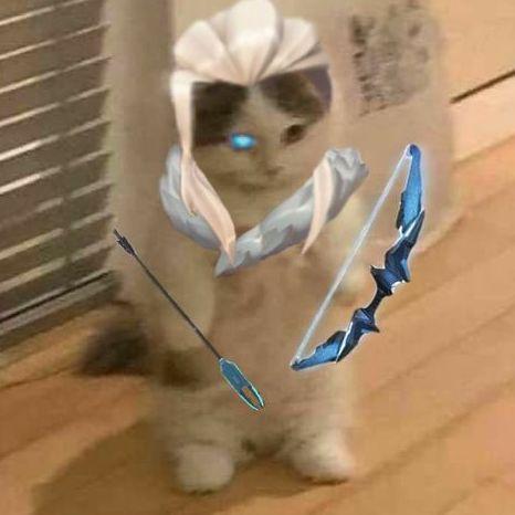 StarzeN avatar