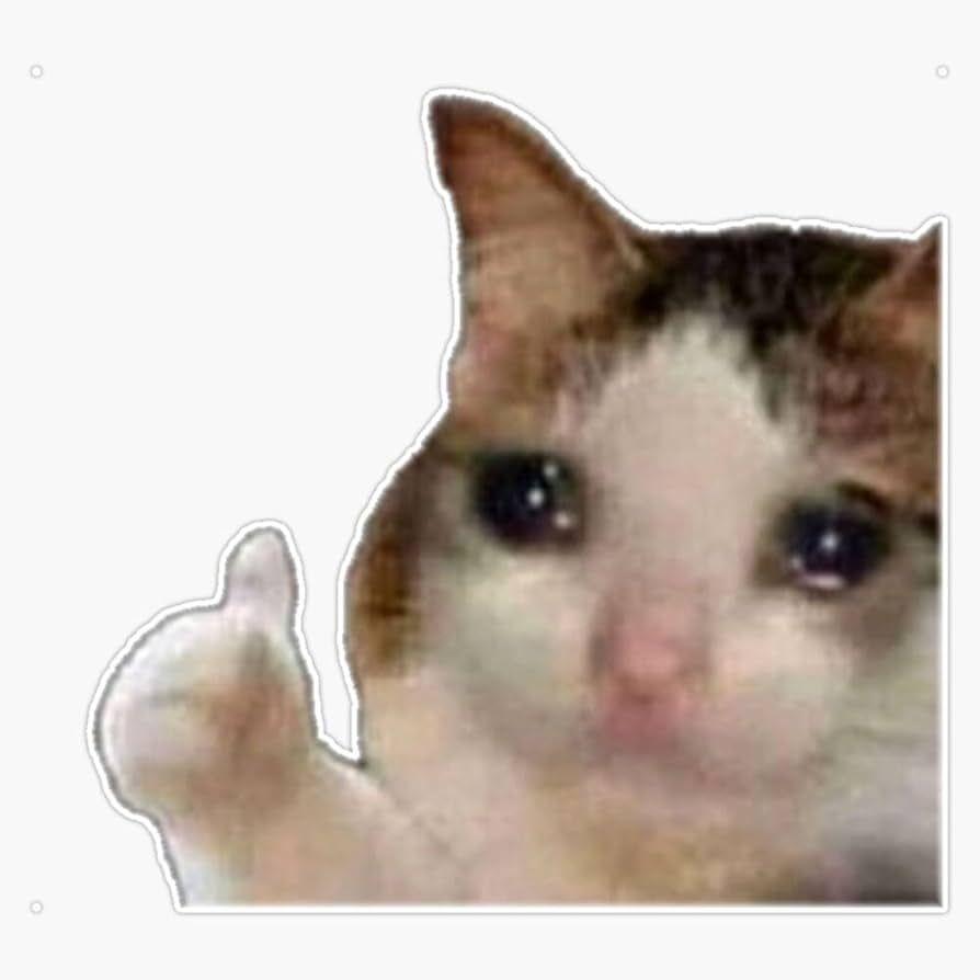 reNzou avatar