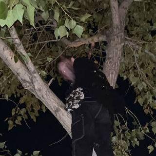 netnervovv avatar