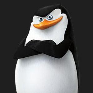 kolaczak avatar