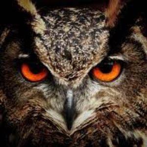 Player Owl101 avatar