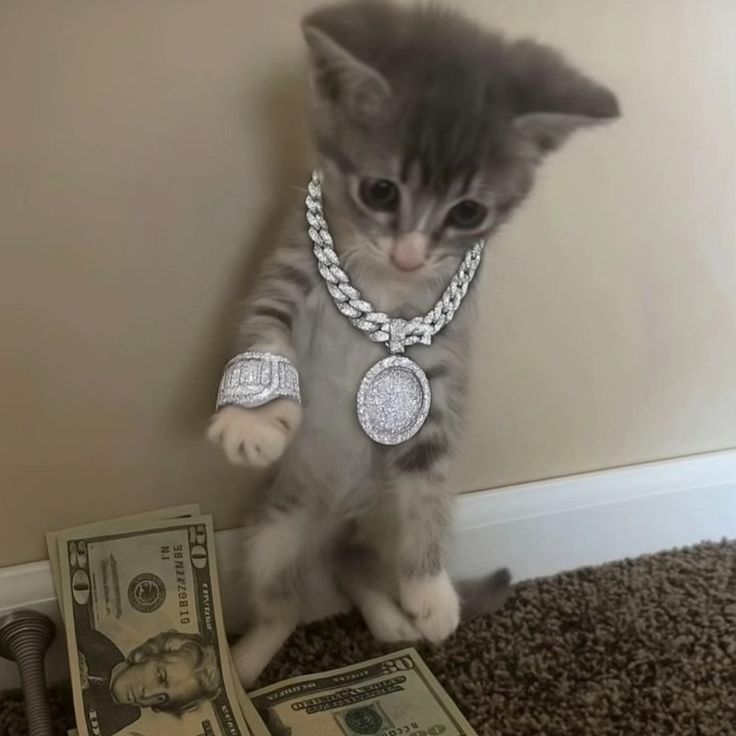 D0OLA