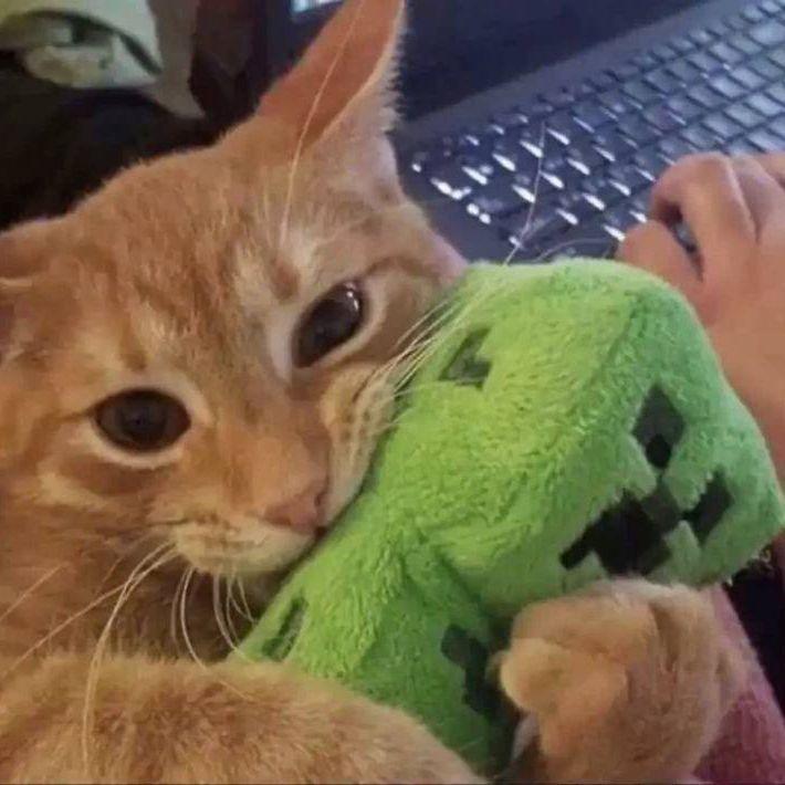 StreamersHub