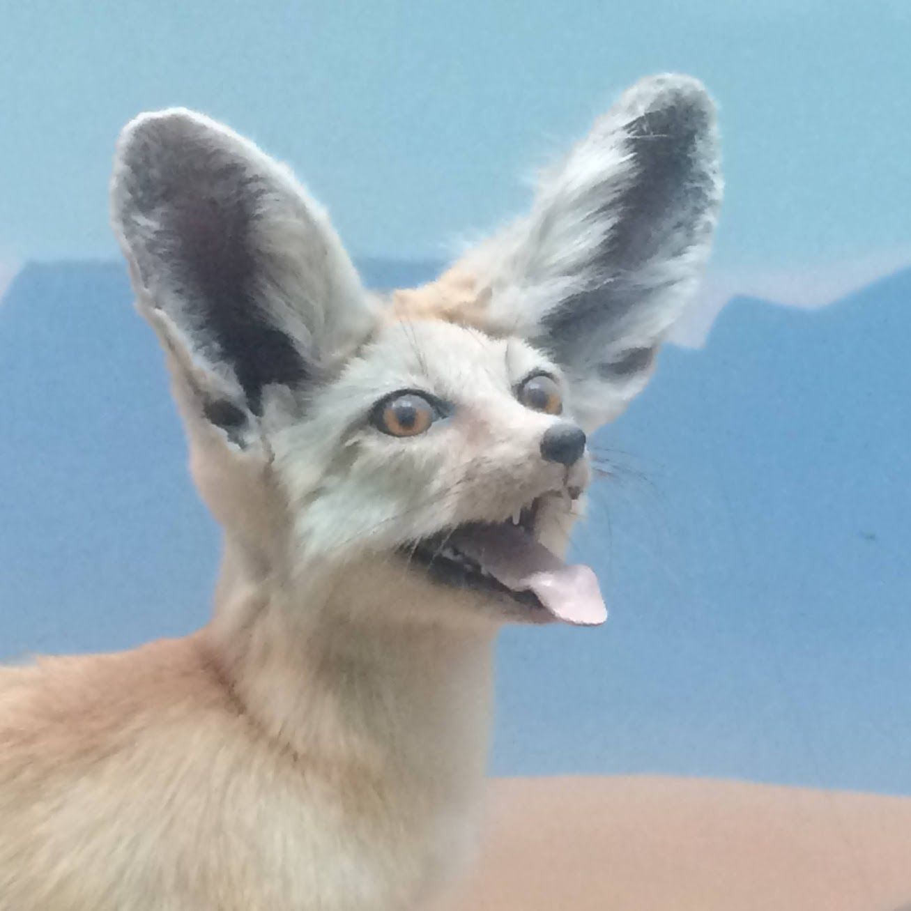 llamafur