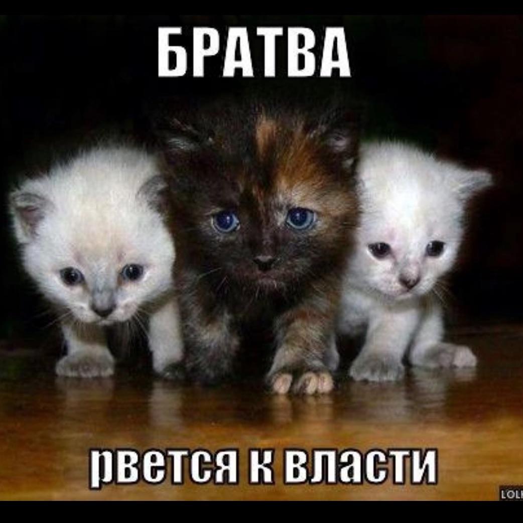 BRATVA