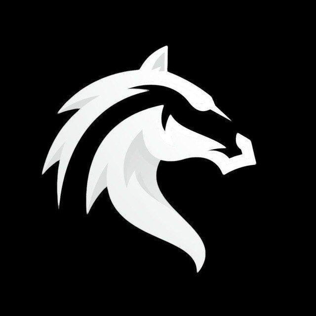 Player m4g avatar