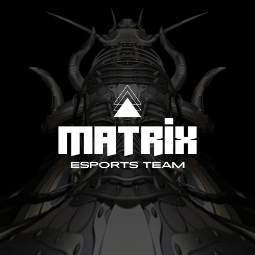 Matrix team