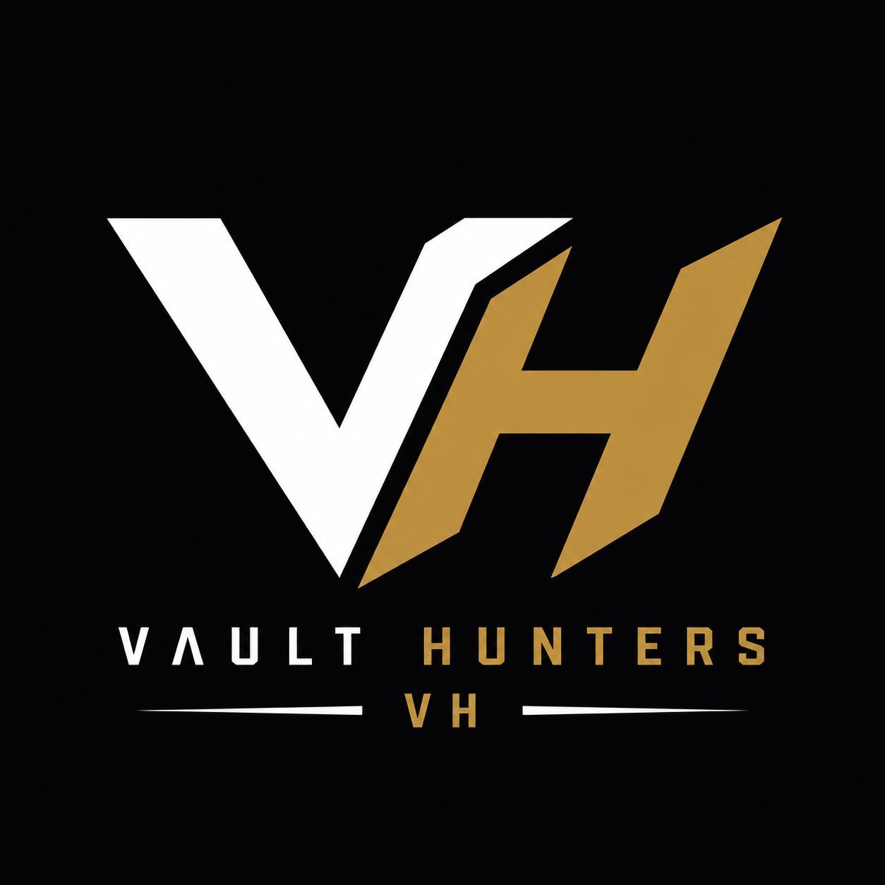 VAULT HUNTERS