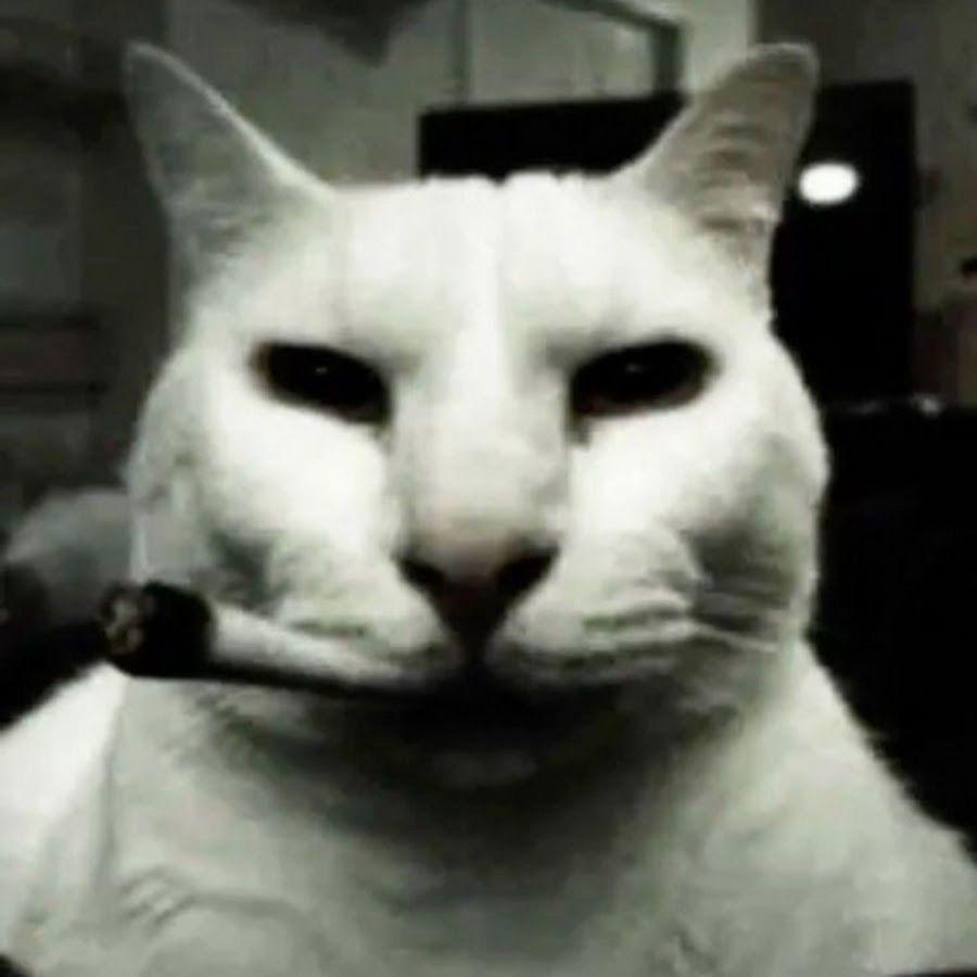 nogcmaBa avatar
