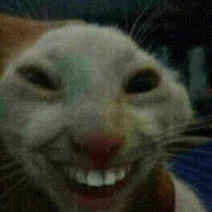 nikint avatar