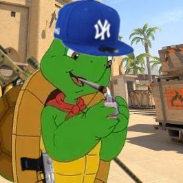 turtle squad