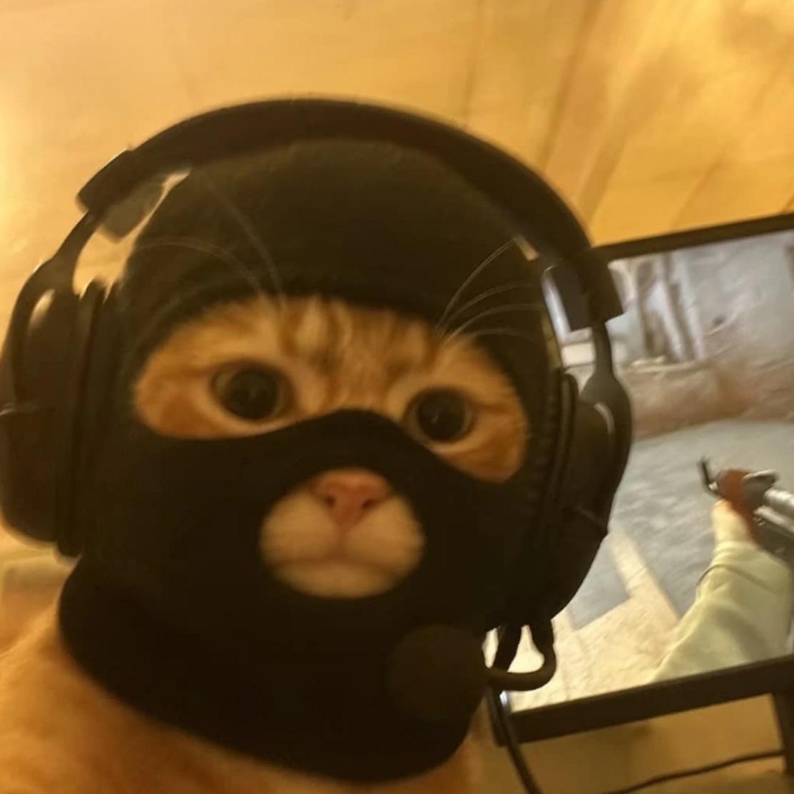 Hoaxx avatar