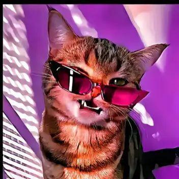 pappzan avatar