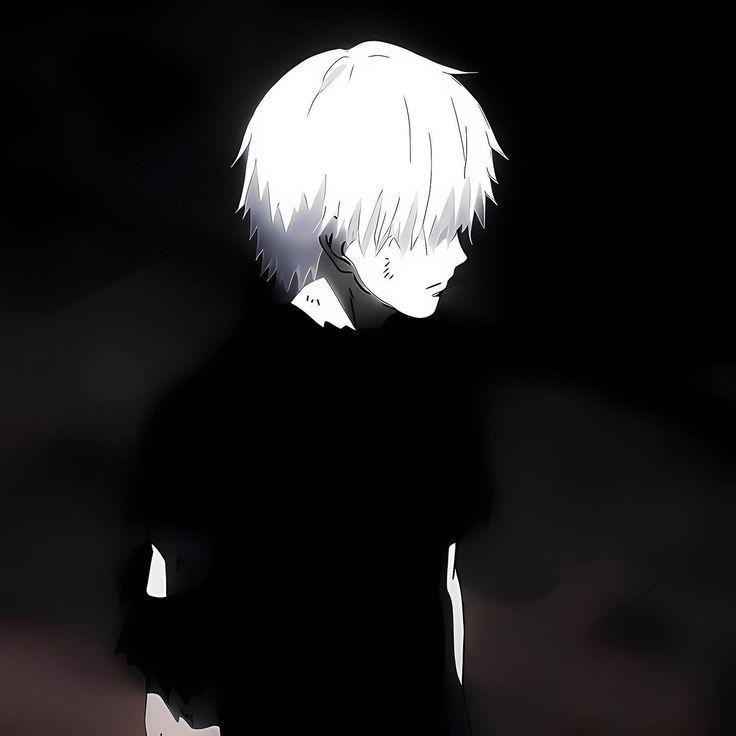 setr1 avatar