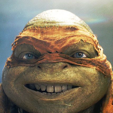 team_Turtless