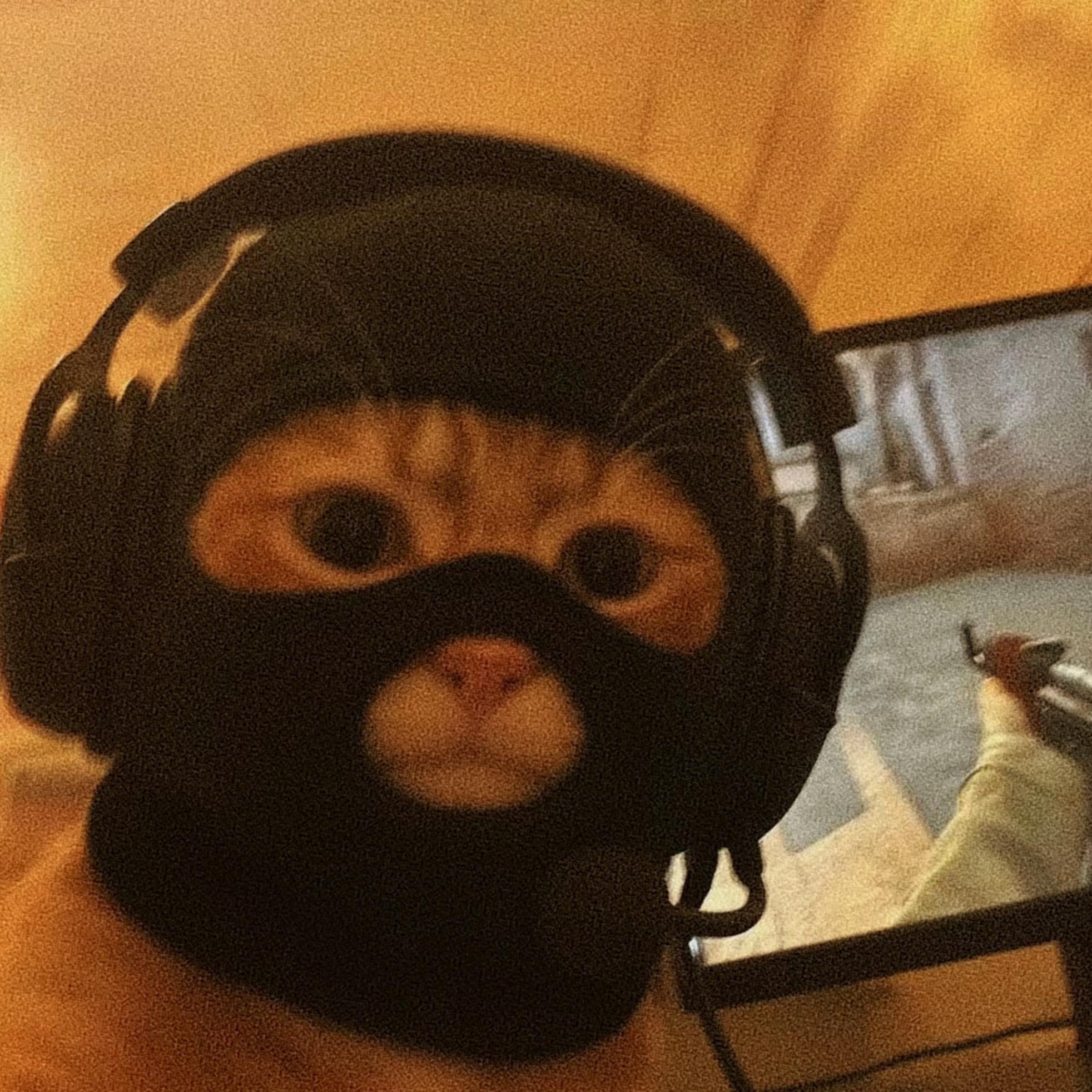 Faceit avatar