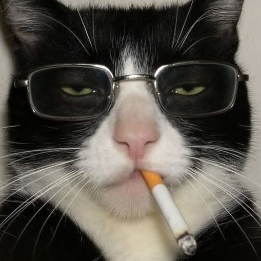Kataps
