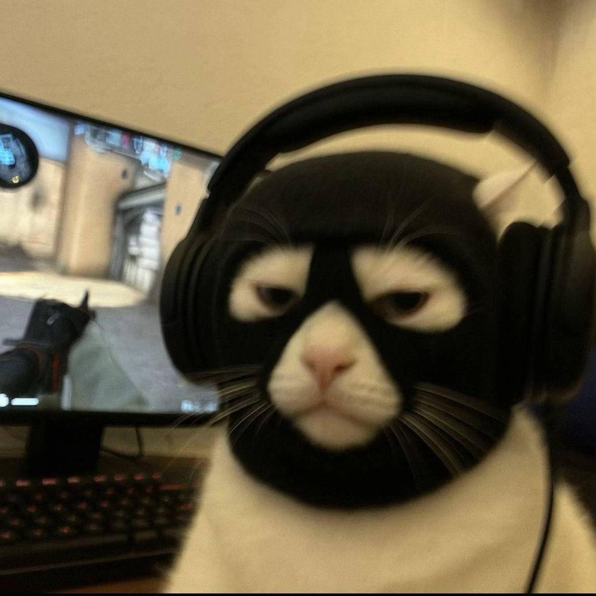 mzk02 avatar