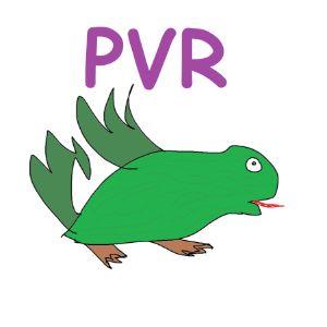 Player pVR__ avatar