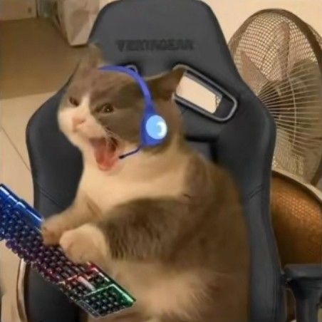 montybbb