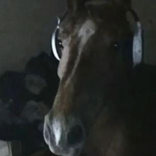 CAWWA avatar