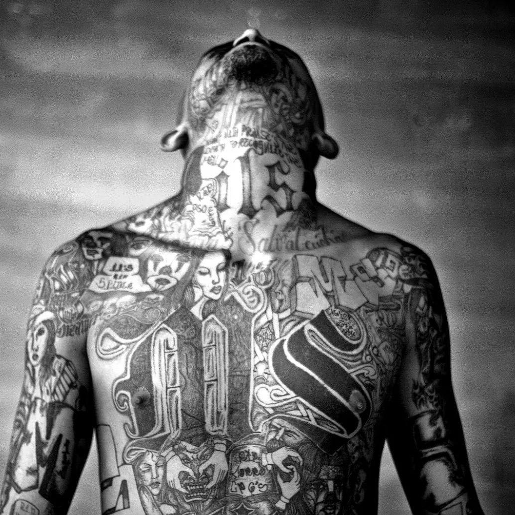 MS-13 avatar