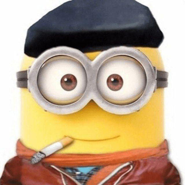 minion333