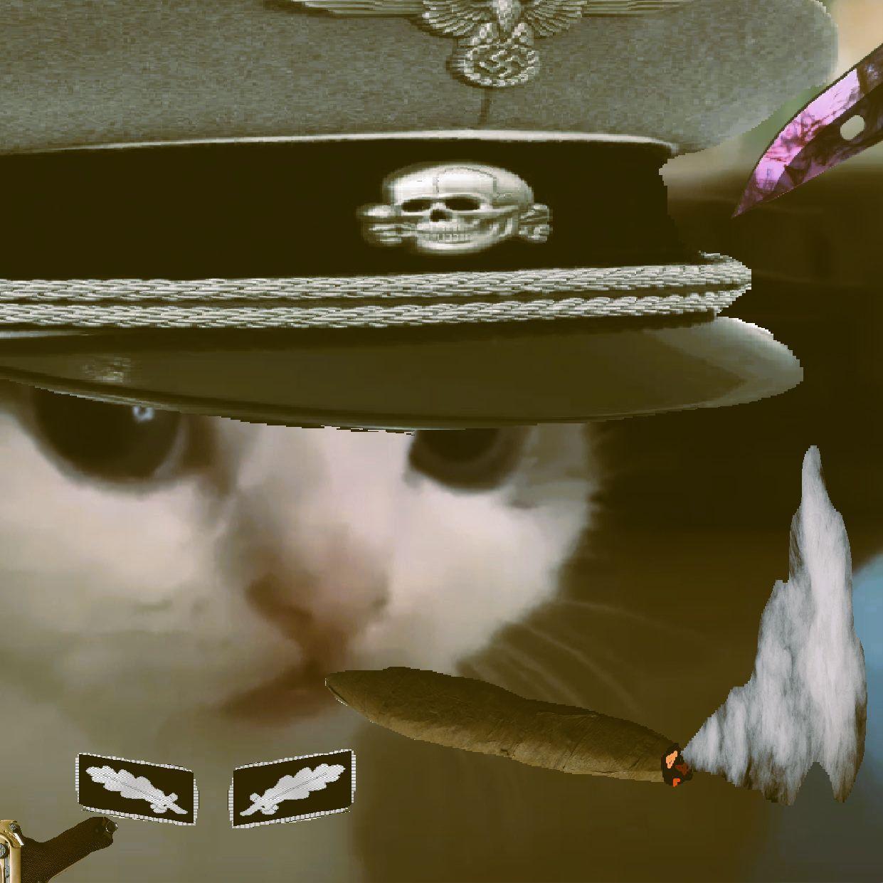 colonel-meow