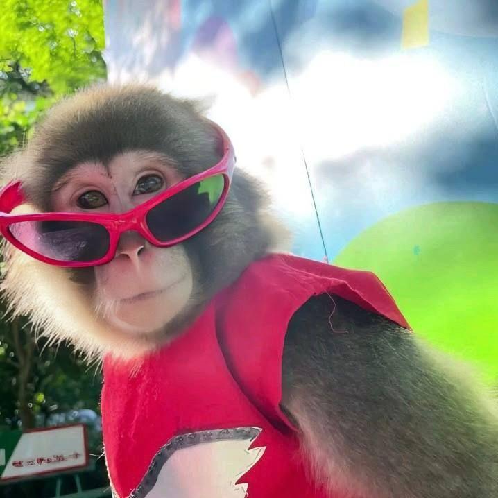 hommosapiens avatar