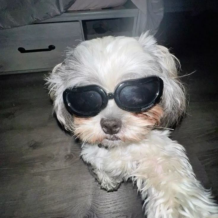 Poowsen