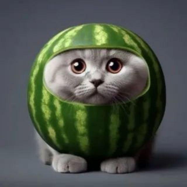 -iceheart avatar